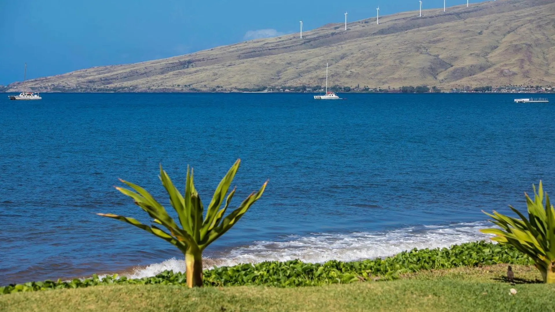 Sugar Beach 127 - Mch Kihei 0*,  Ηνωμένες Πολιτείες της Αμερικής