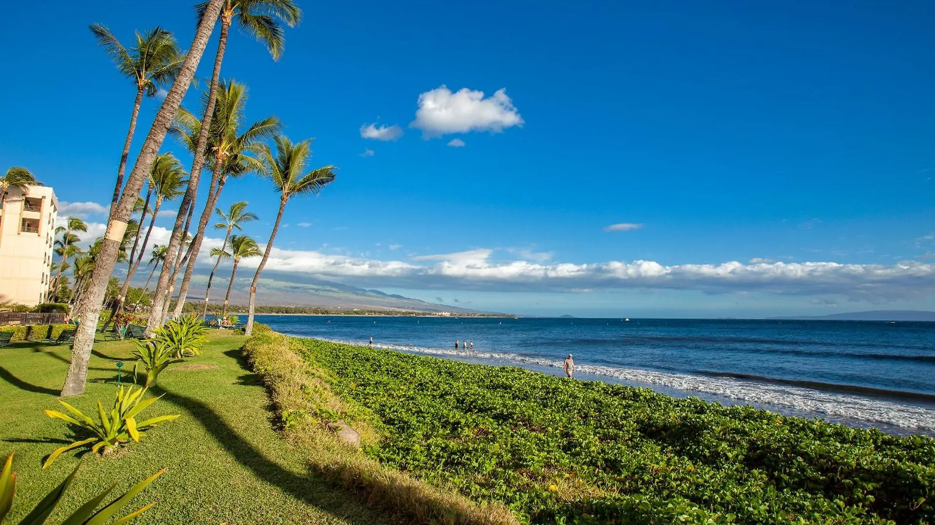 Sugar Beach 127 - Mch Kihei 0*,