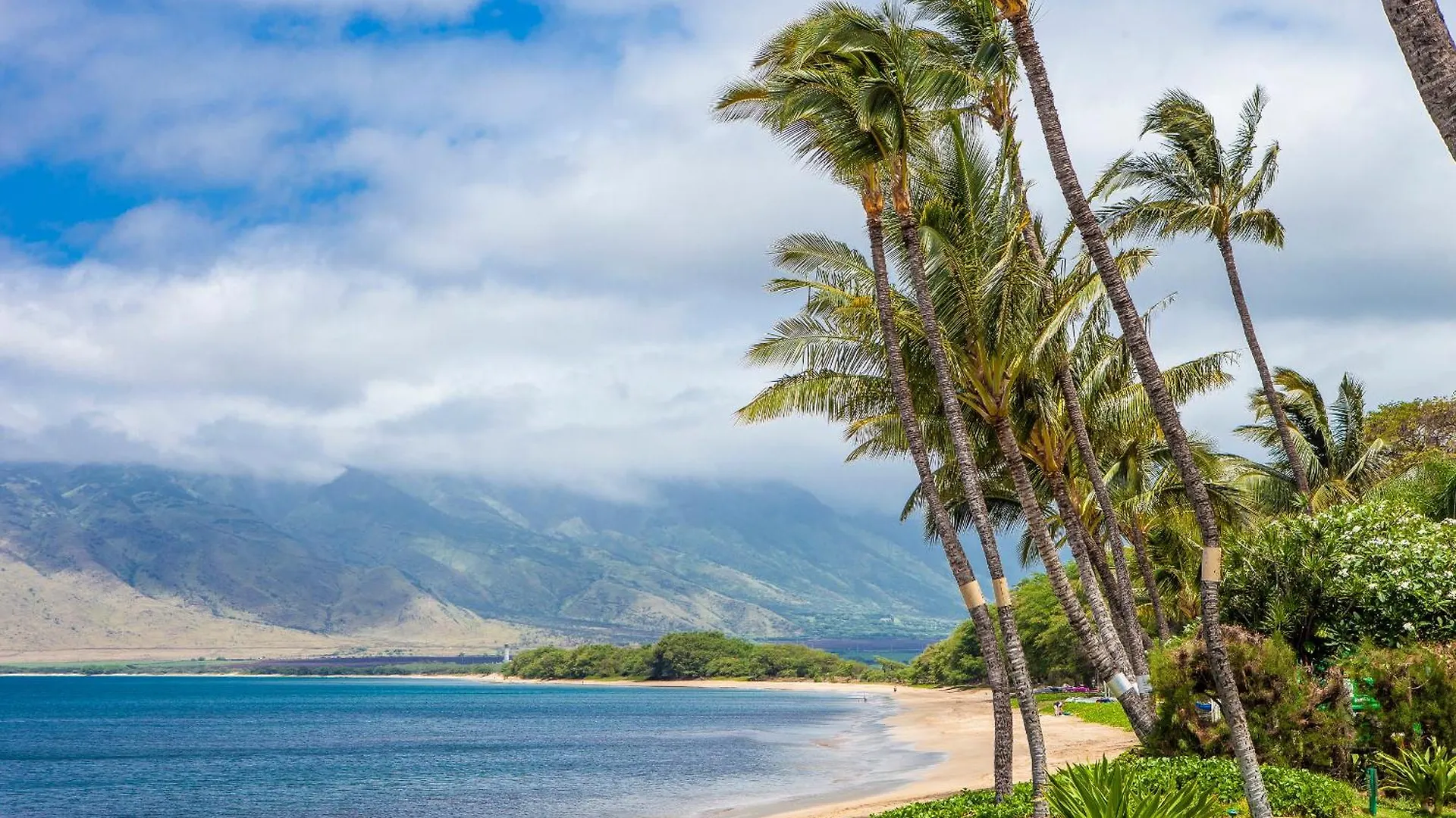 Sugar Beach 127 - Mch Kihei
